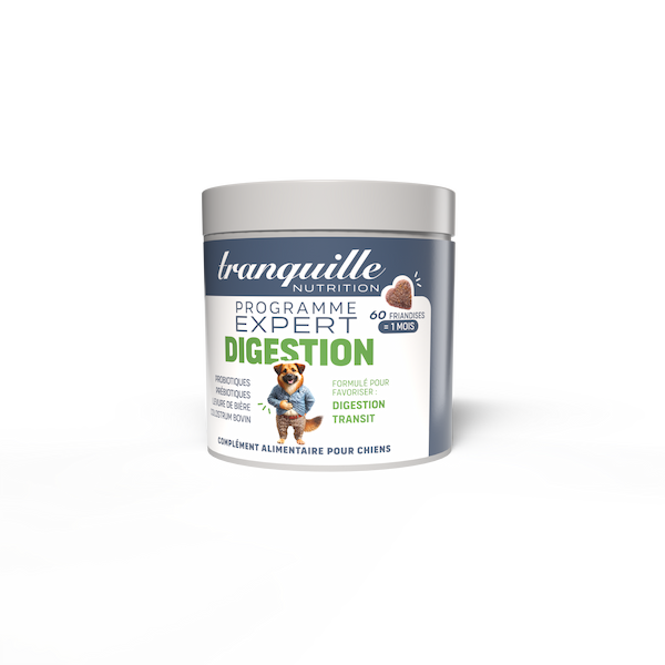 Complément Alimentaire pour Chien Digestion