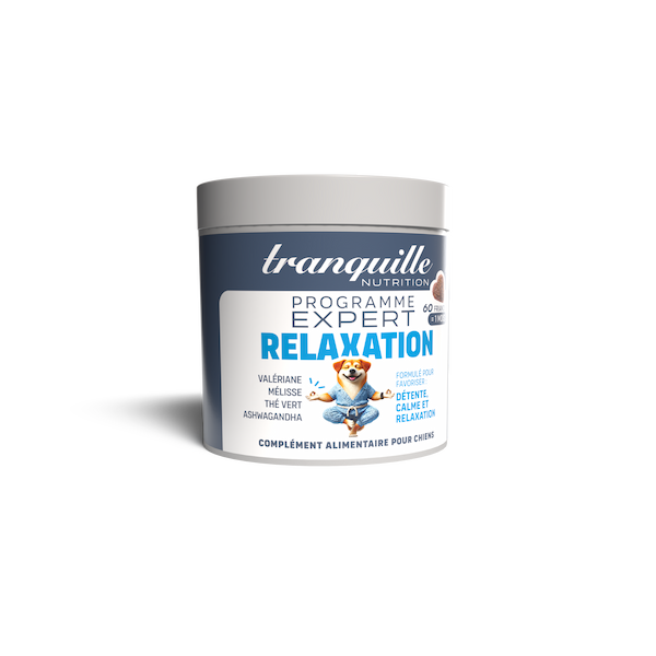 Complément Alimentaire Chien Relaxant