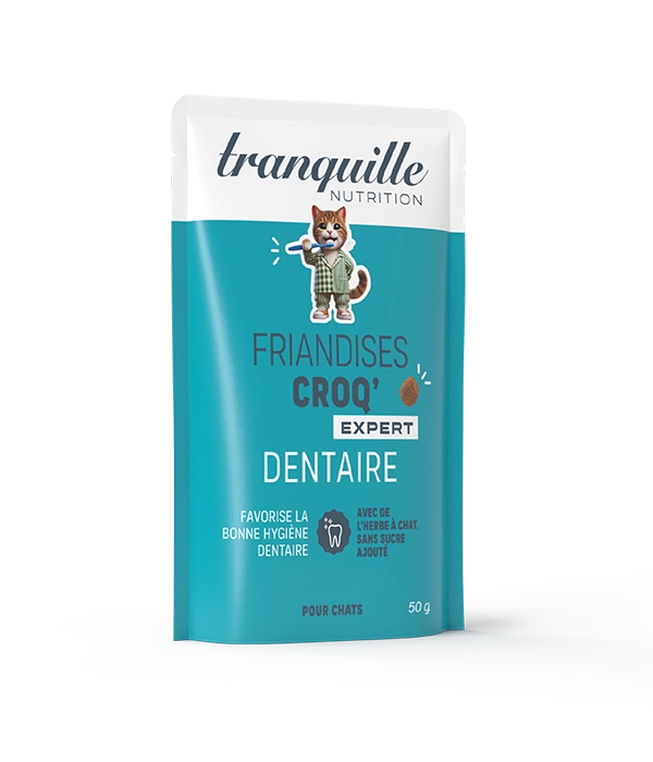 Croq' Expert Dentaire OFFERT