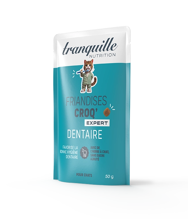 Croq' Expert Dentaire OFFERT