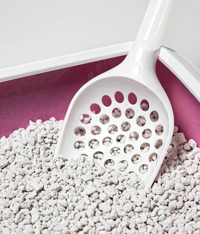 Litière tranquille hygiene pour chat