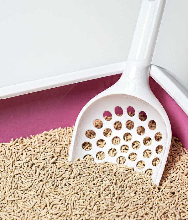 Litière tranquille Tofu pour chat