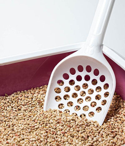 Litière tranquille vegecompost pour chat