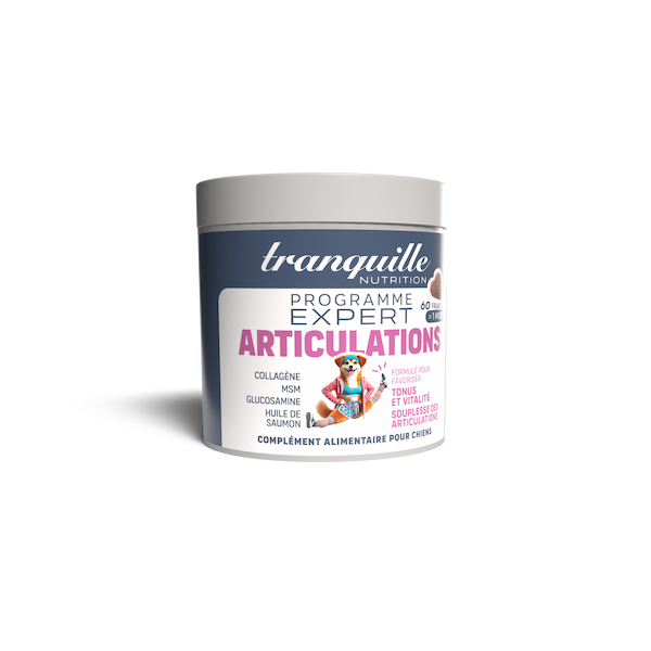 complement alimentaire chien articulation