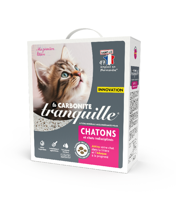 La Carbonite Chatons