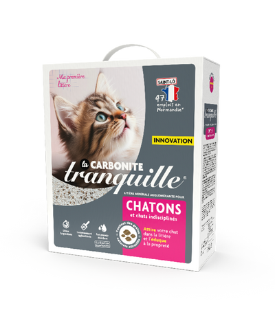 La Carbonite Chatons
