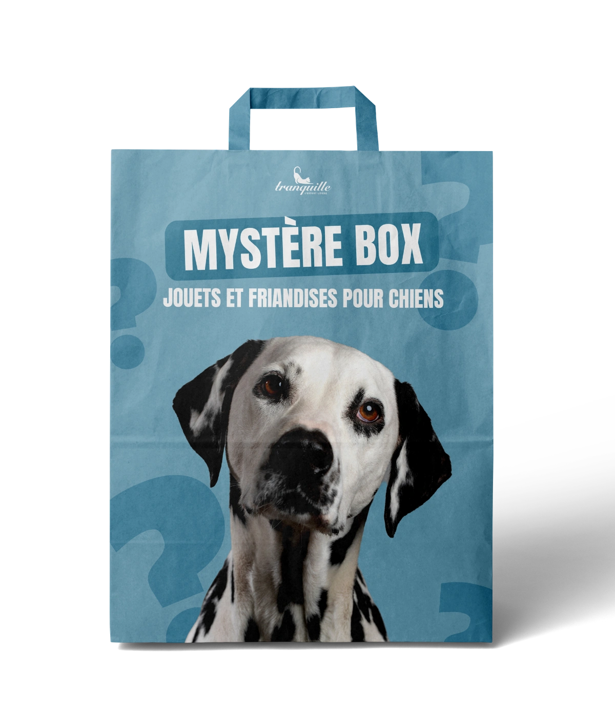 Mystère Box pour Chiens