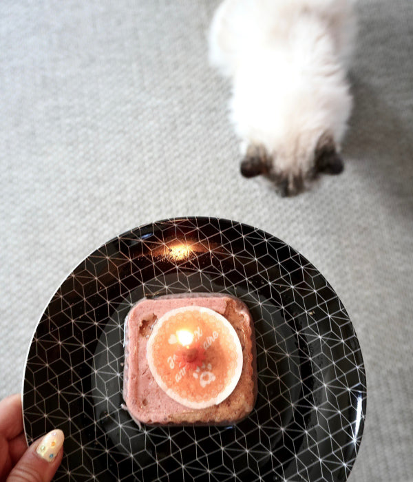 Pâtée Anniversaire pour Chat