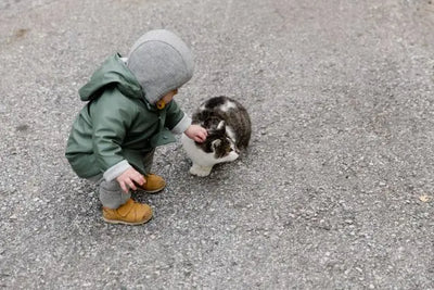 Chat et bébé : le guide complet pour une cohabitation en sécurité