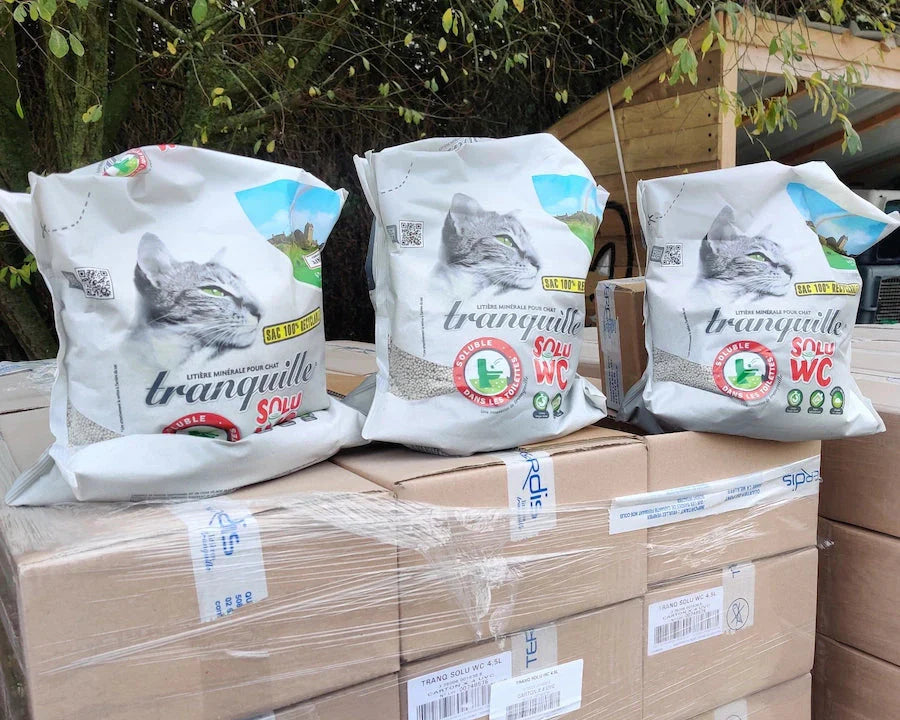 Comment aider les associations de protection animale