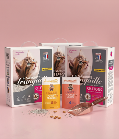Pack Découverte Chatons