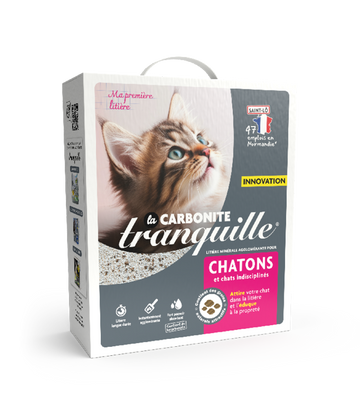 La Carbonite Chatons