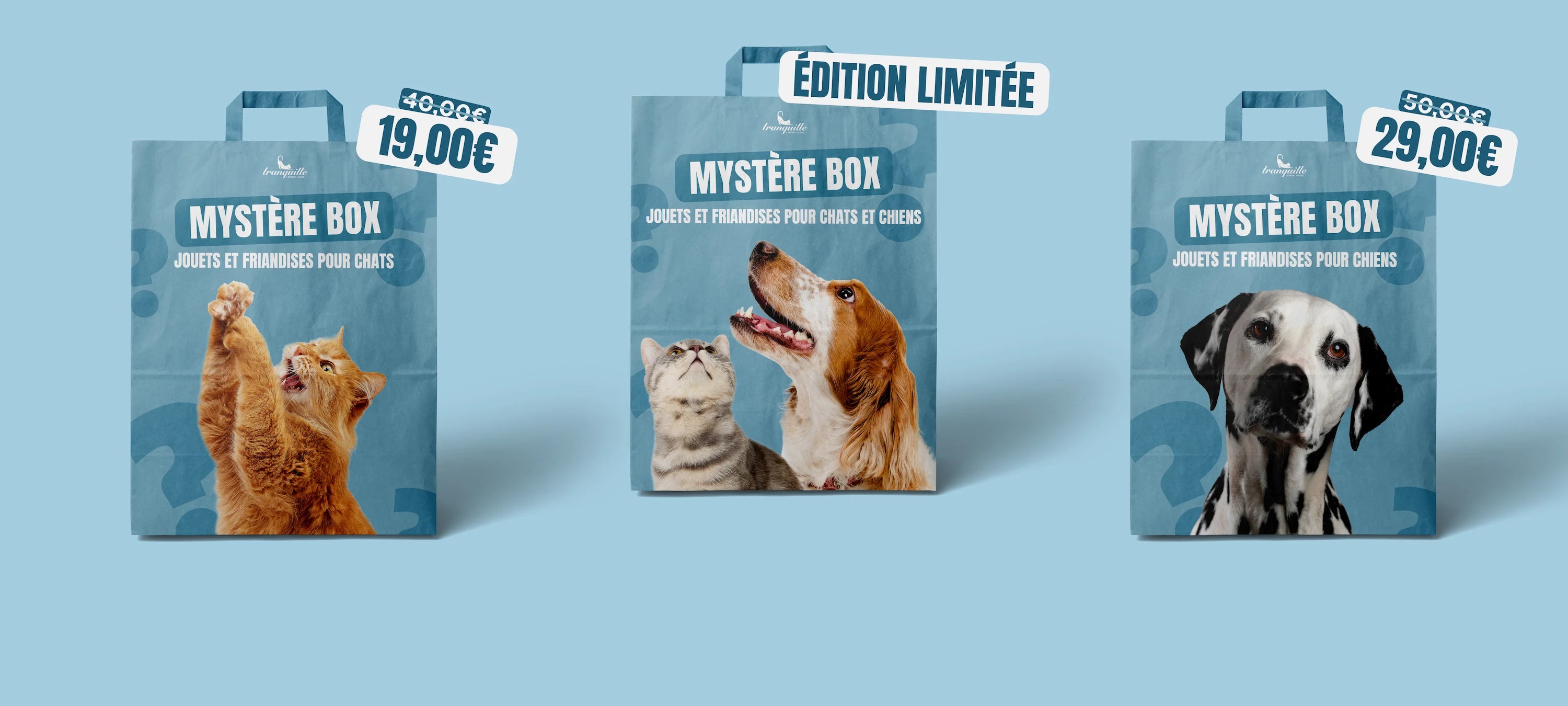 mystere box pour chat et chien