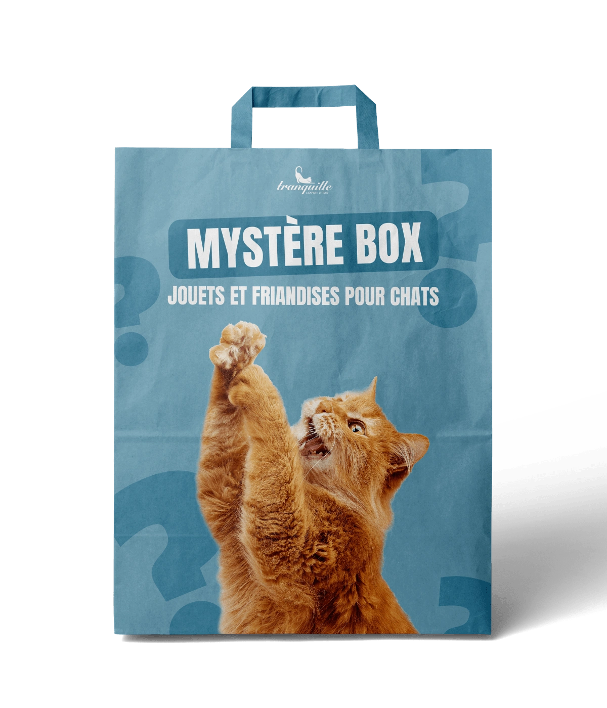 Mystère Box pour Chats
