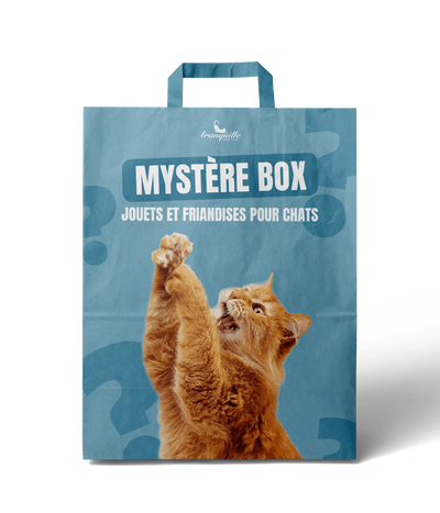 Mystère Box pour Chats