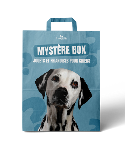 Mystère Box pour Chiens