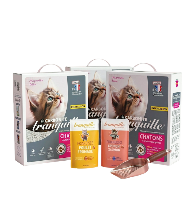 pack découverte nouveaux adoptants chatons