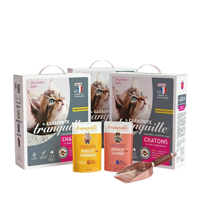 pack découverte nouveaux adoptants chatons