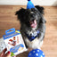 Pâtée Anniversaire pour Chien