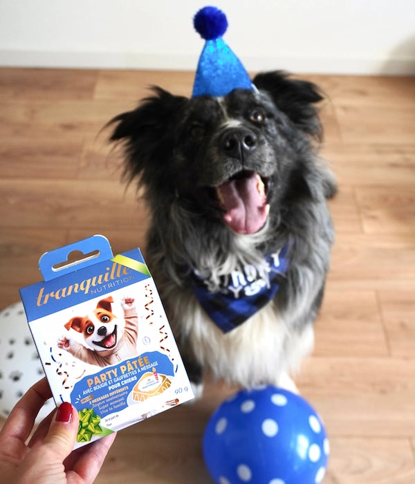 Pâtée Anniversaire pour Chien