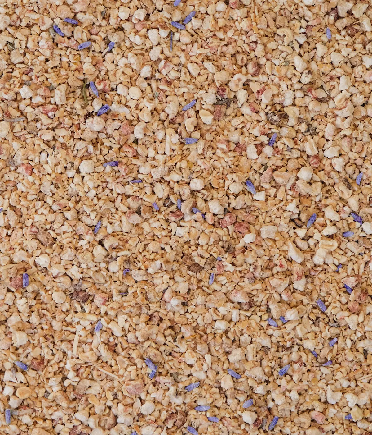 Végécompost Chat Stérilisé